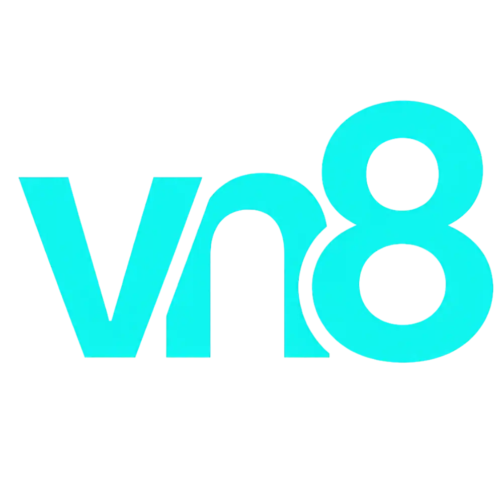Logo VN8